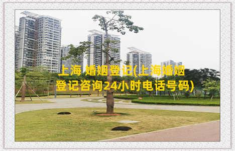 上海 婚姻登记(上海婚姻登记咨询24小时电话号码)